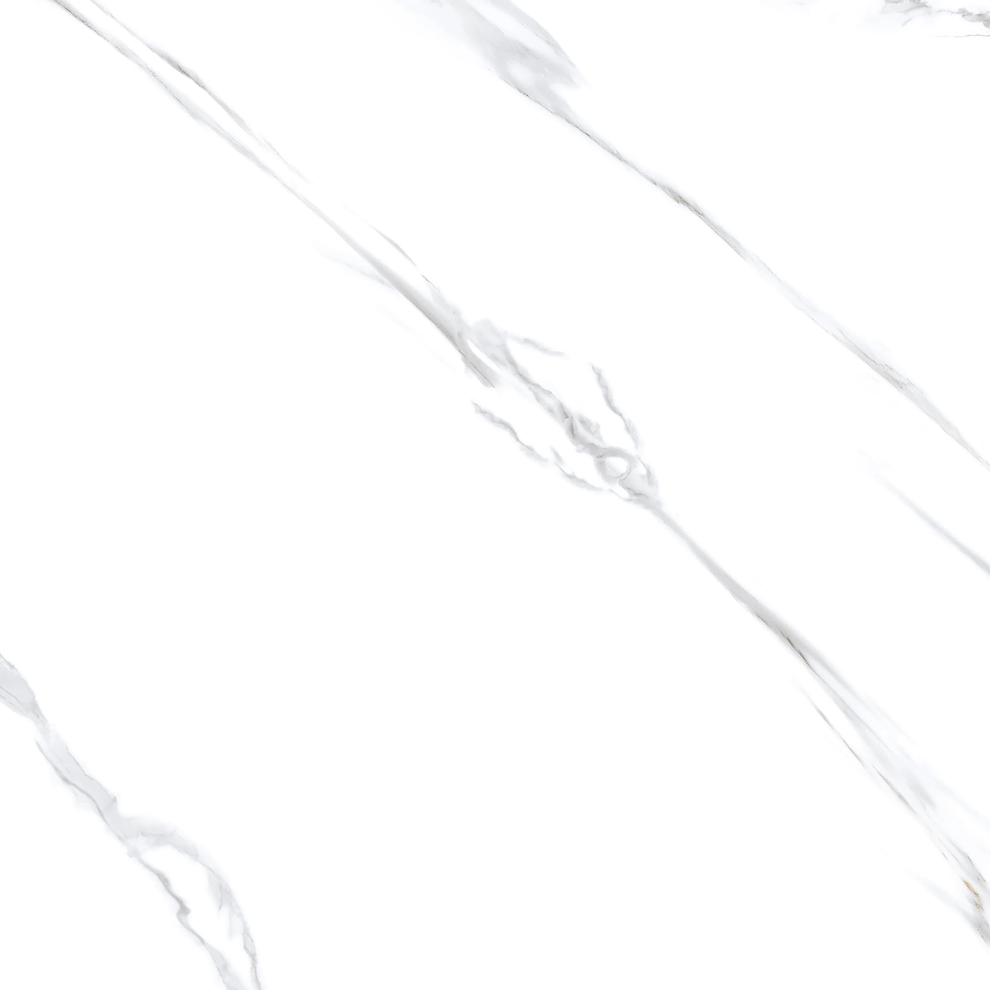 Himalaya White